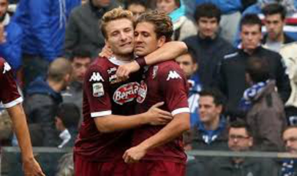 cerci-immobile