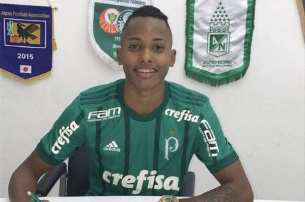 fernando-palmeiras-2