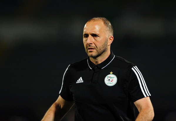 djamel-belmadi