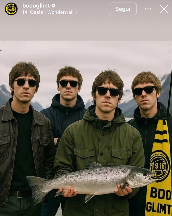 bodo-glimt-oasis-salmone