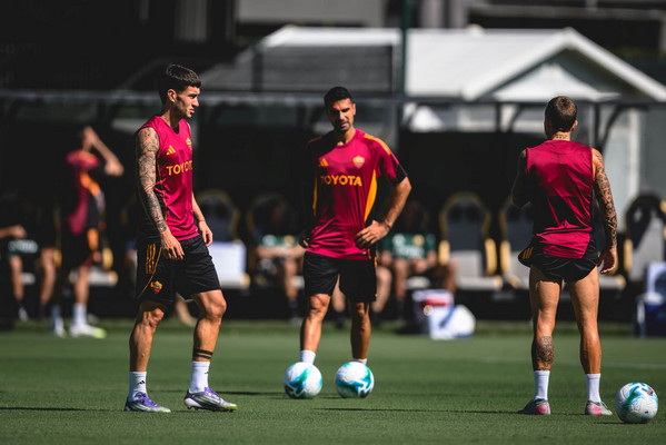 soule-celik-angelino