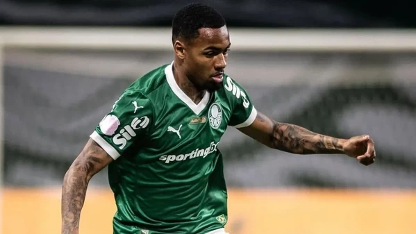 aaa-allanm-palmeiras